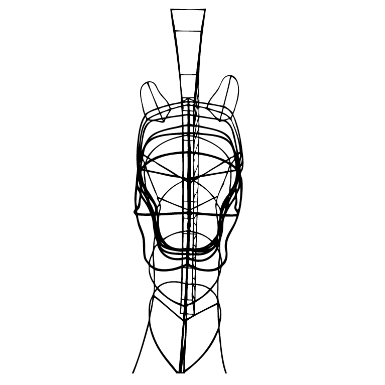Immagine caricata 